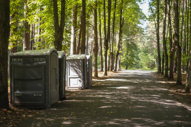 Best Porta potty rental for parties  in Loretto, TN